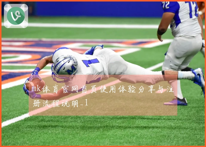 mk体育官网首页使用体验分享与注册流程说明_1