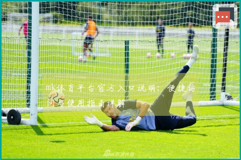 mk体育平台官方入口说明：便捷访问与使用指南详解