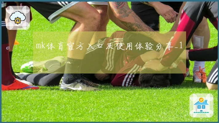 mk体育官方入口及使用体验分享_1